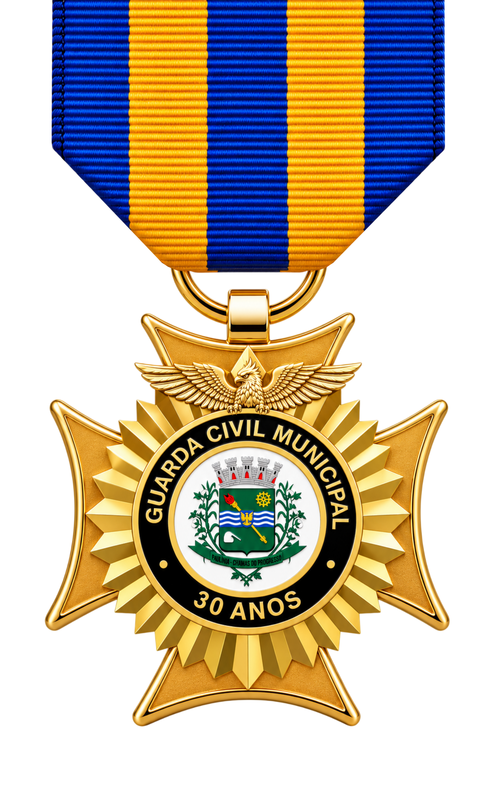 Brasão de MEDALHA DE 30 ANOS